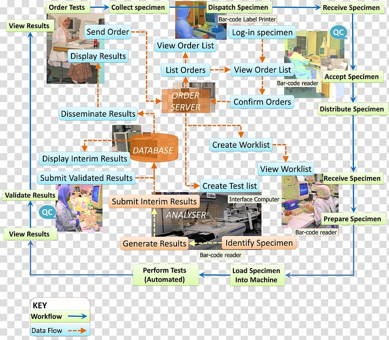 Laboratory Workflow Chart