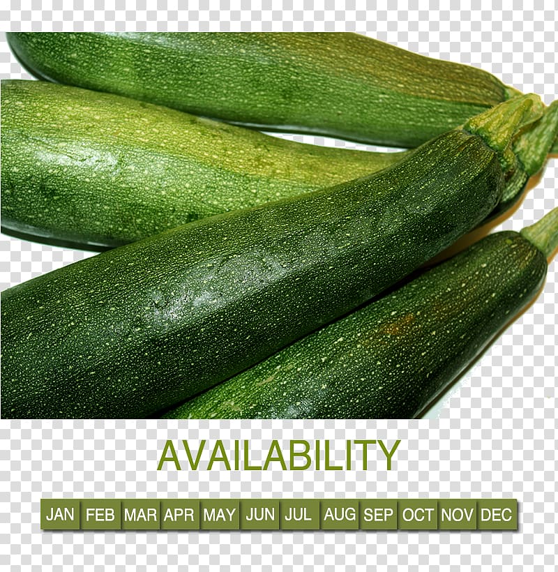 Cucumber Cucurbita pepo Calabaza Spreewald gherkins Vegetable, vegetable marrow transparent background PNG clipart