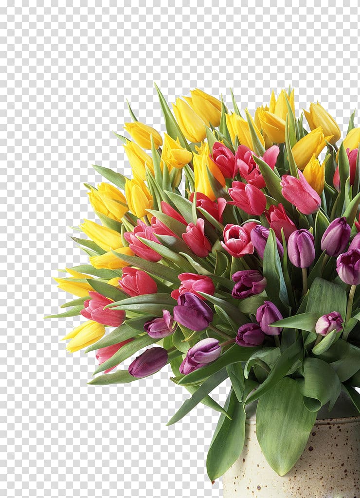 Flower bouquet Tulip , Tulip heap transparent background PNG clipart