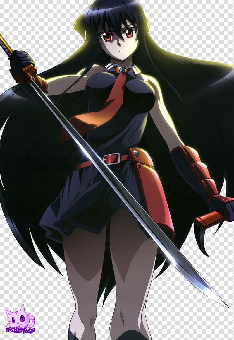 Divine Gate, Akame Ga Kill, Otaku Anime, Manga Comics, - Wiki - Free  Transparent PNG Clipart Images Download