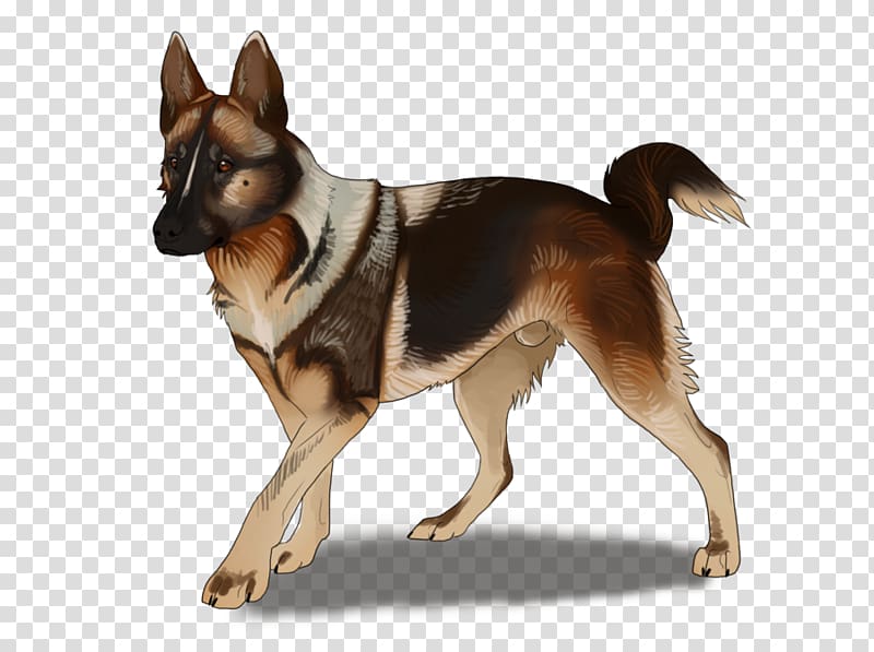 Dog breed German Shepherd Kunming wolfdog, chasing dreams transparent background PNG clipart