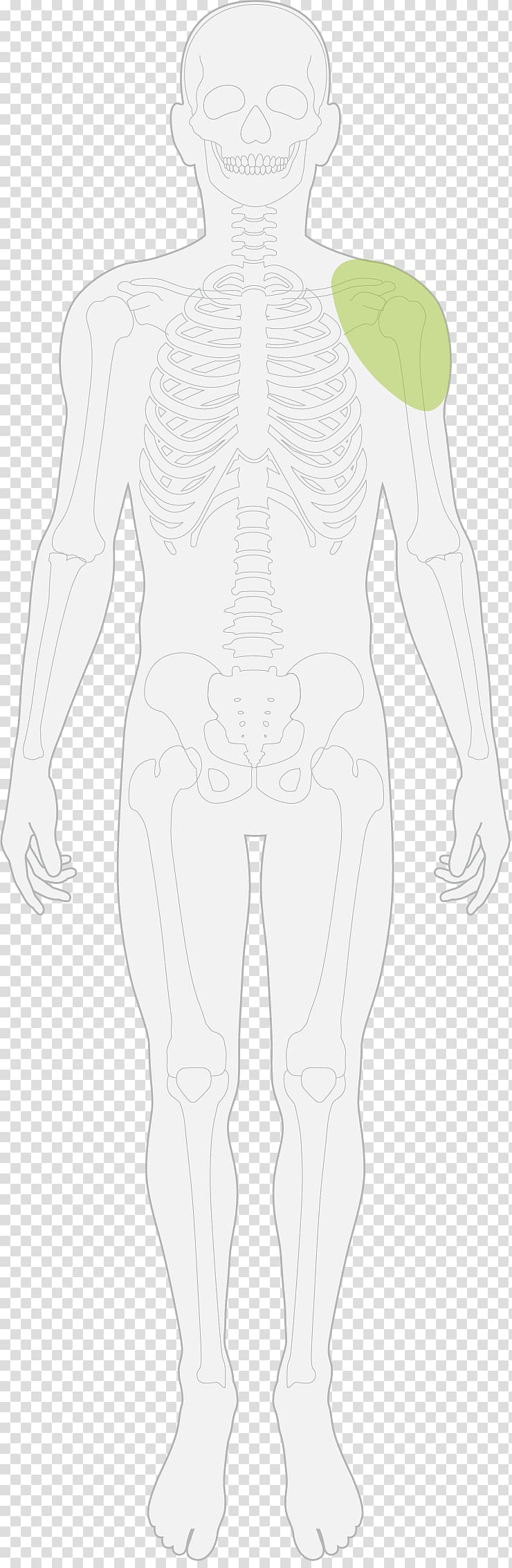 Human leg Drawing Hip Sketch, injury trouble transparent background PNG clipart