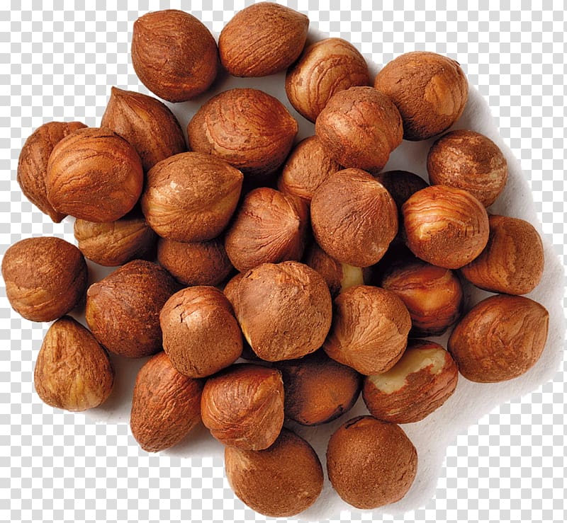 Common hazel Filbert Hazelnut Dried Fruit, nuts transparent background PNG clipart