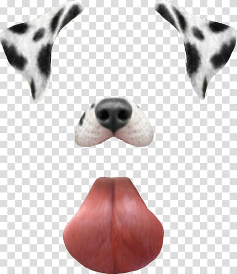 Dalmatian dog Snapchat Dancing Hot Dog , snapchat transparent background PNG clipart