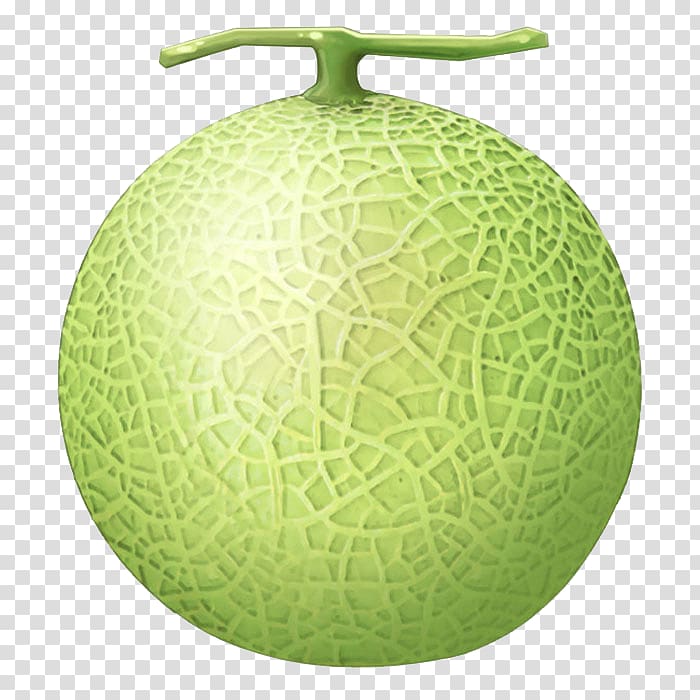 Honeydew Cantaloupe Galia melon, melon transparent background PNG clipart