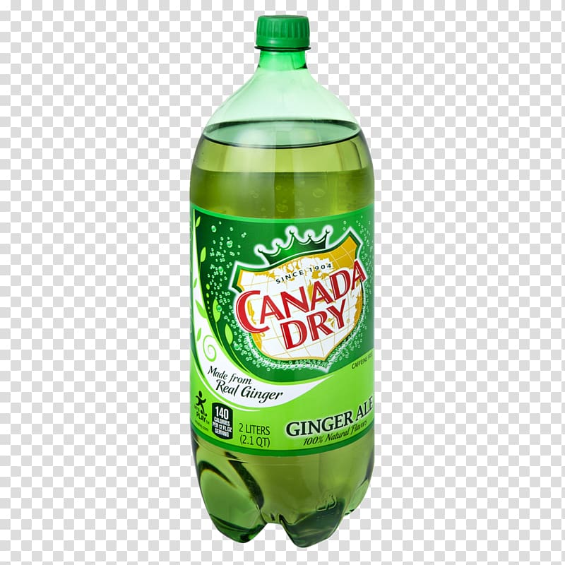 Lemon-lime drink Ginger ale Fizzy Drinks Canada Dry, ginger slices transparent background PNG clipart