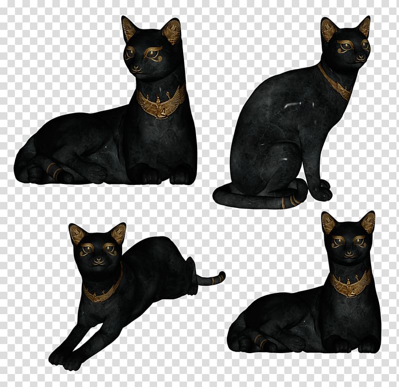 Bombay cat Black cat Havana Brown Domestic short-haired cat Sphynx cat, kitten transparent background PNG clipart