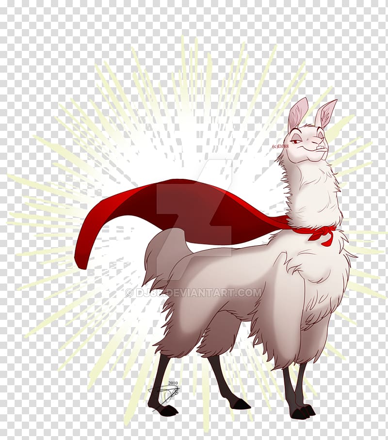 Llama Cat Johnny Blaze, Cat transparent background PNG clipart