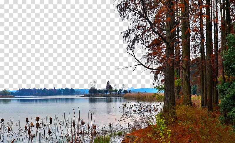 u843du96c1u666fu533a Lake , Lake Harmony resort transparent background PNG clipart