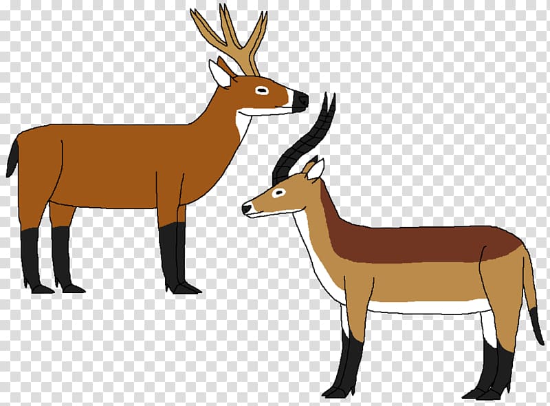 Antelope Ungulate Musk deer Reindeer Elk, Reindeer transparent background PNG clipart