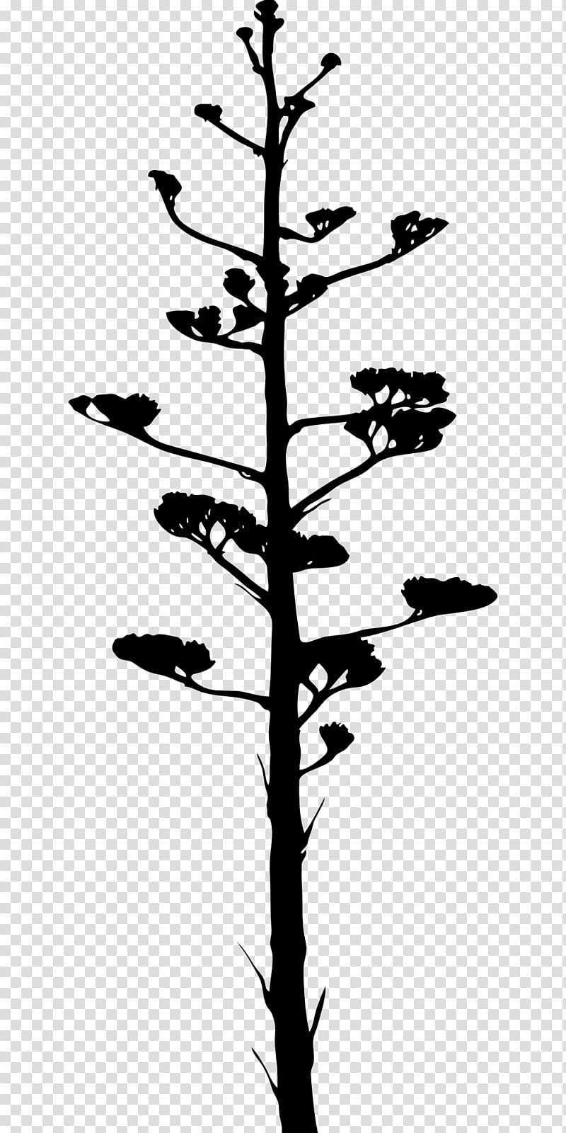 Agave azul, branches silouhette transparent background PNG clipart