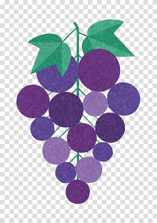 Common Grape Vine Vitis californica Wine Illustration, Hand-painted grapes transparent background PNG clipart