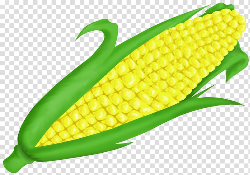 Corn on the cob Maize Sweet corn , Corn On Cob transparent background PNG clipart