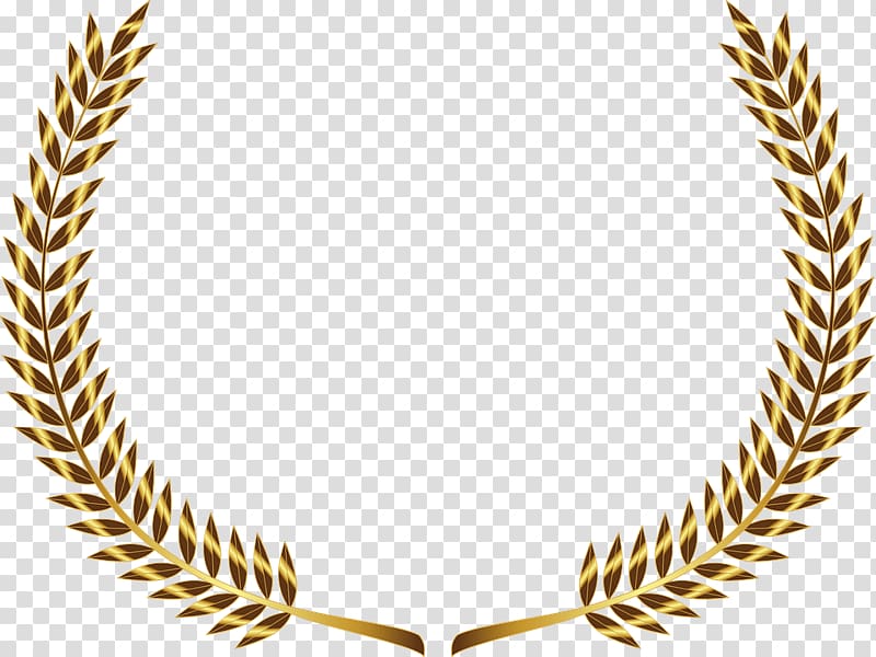 Laurel wreath Gold Bay Laurel , GOLD LINE transparent background PNG clipart