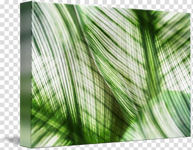 Printing Canvas print Poster Printmaking , green abstract transparent background PNG clipart