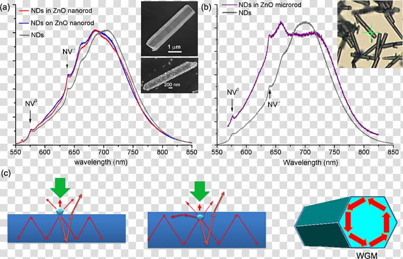 Nanorod Zinc oxide Nanoparticle Material Light-emitting diode, environmental album transparent background PNG clipart