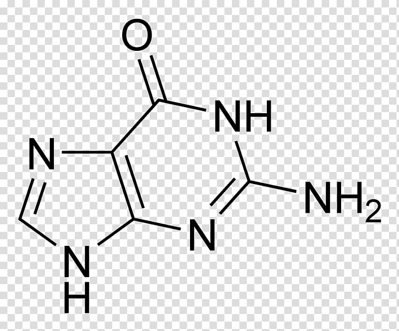 Guanine Chemical structure Guanosine monophosphate Purine Molecule, chemical transparent background PNG clipart