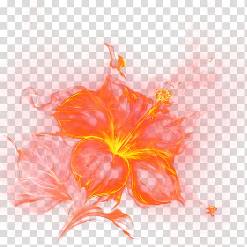 flame flowers transparent background PNG clipart