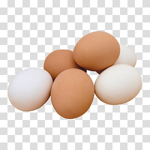 egg transparent background PNG clipart thumbnail