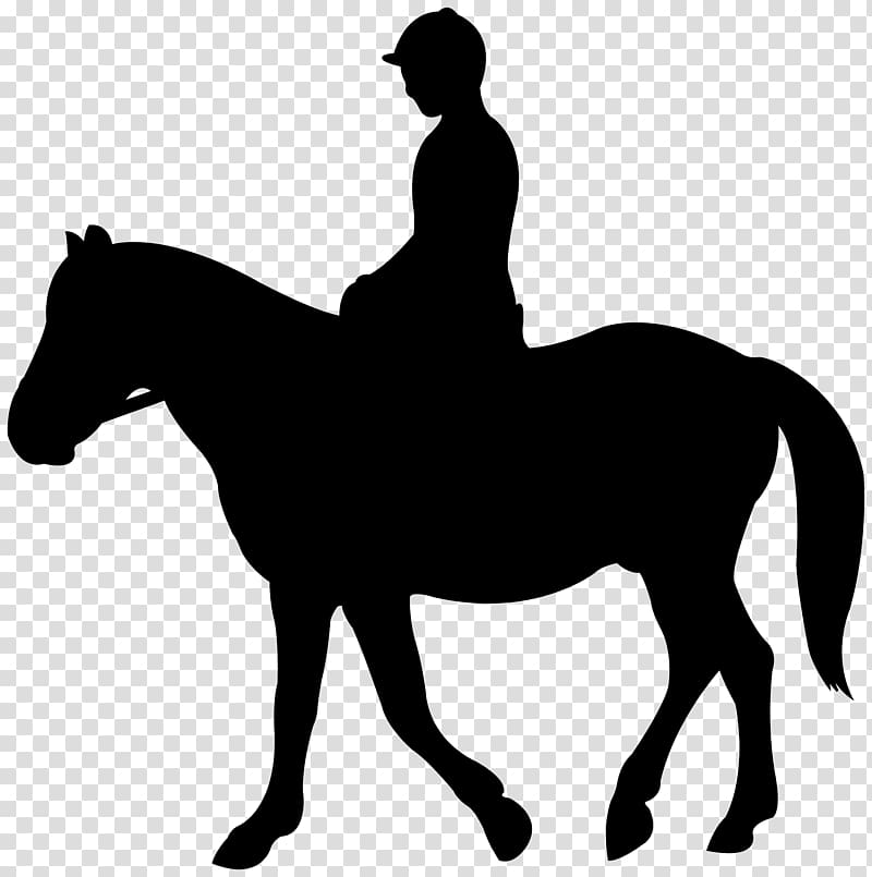 Horse Silhouette English riding Equestrian Jockey, sillhouette transparent background PNG clipart