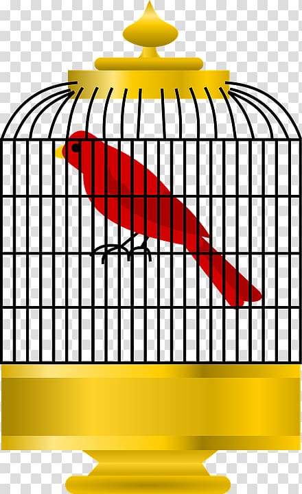 Cage Bird Parrot Cartoon , Bird transparent background PNG clipart