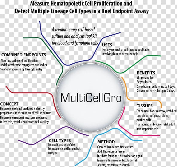 Line Angle Font, hematopoietic stem cells transparent background PNG clipart