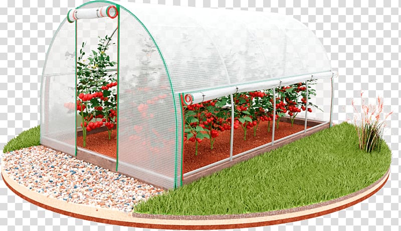 greenhouse vegetables clipart