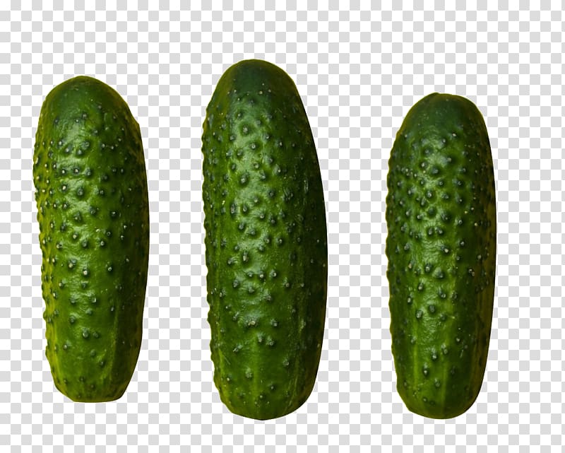 Nutrient Low-carbohydrate diet Ketogenic diet Weight loss, Green and healthy food cucumber transparent background PNG clipart