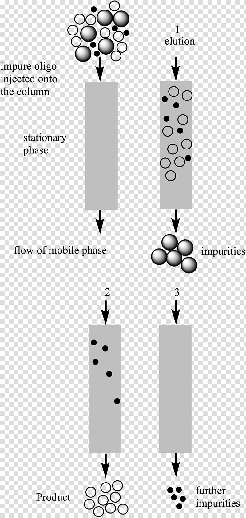 Reversed-phase chromatography High-performance liquid chromatography Hydrophilic interaction chromatography Adsorption, others transparent background PNG clipart
