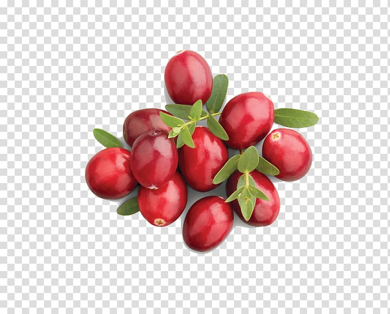 Barbados Cherry Organic food Cranberry juice Apple juice, Dates transparent background PNG clipart