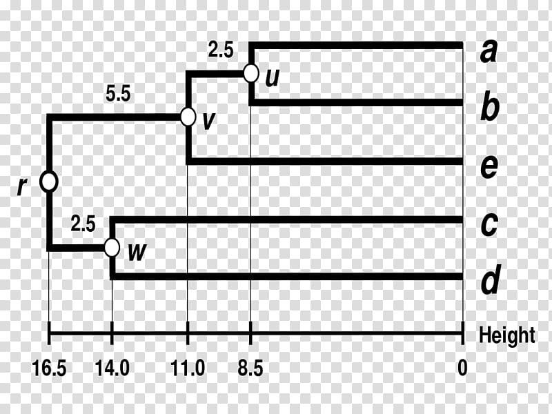 UPGMA Dendrogram Phylogenetics Neighbor joining Phylogenetic tree, tree transparent background PNG clipart