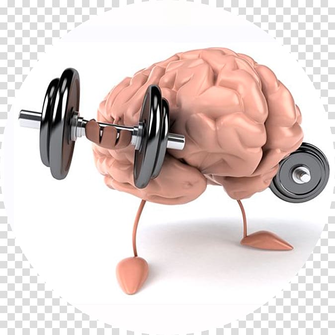Brain Muscle Mind Physical strength Health, Brain transparent background PNG clipart