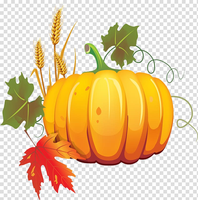 Vegetable Pumpkin Squash Food Zucchini, pumpkin transparent background PNG clipart