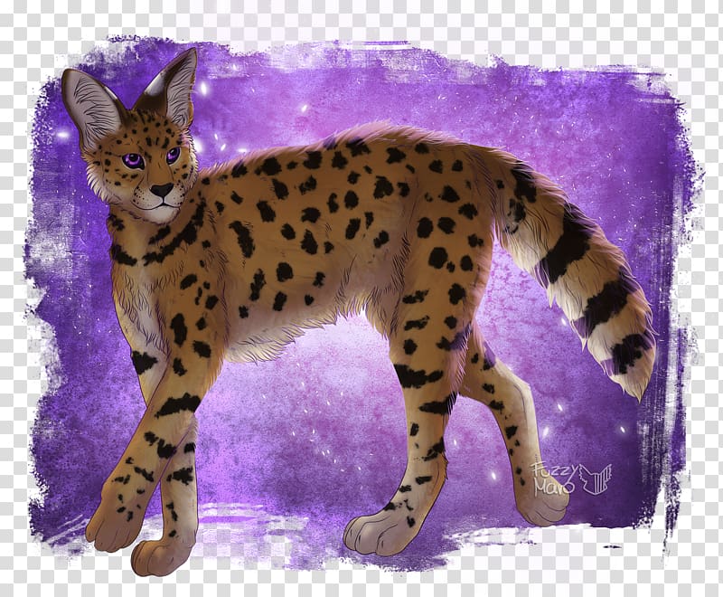 Whiskers Cheetah Wildcat Terrestrial animal, cheetah transparent background PNG clipart