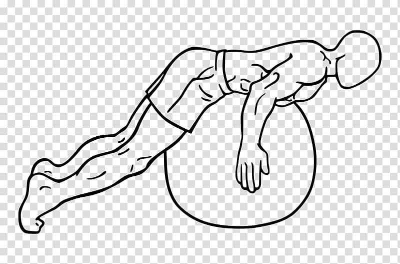 Thumb Hyperextension Erector spinae muscles Exercise Balls, gym ball transparent background PNG clipart