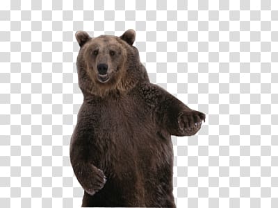 black bear art, Dancing Bear transparent background PNG clipart