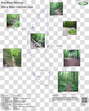 Tree Angle, tree transparent background PNG clipart thumbnail