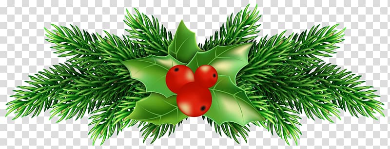 Common holly Christmas , pine cone transparent background PNG clipart