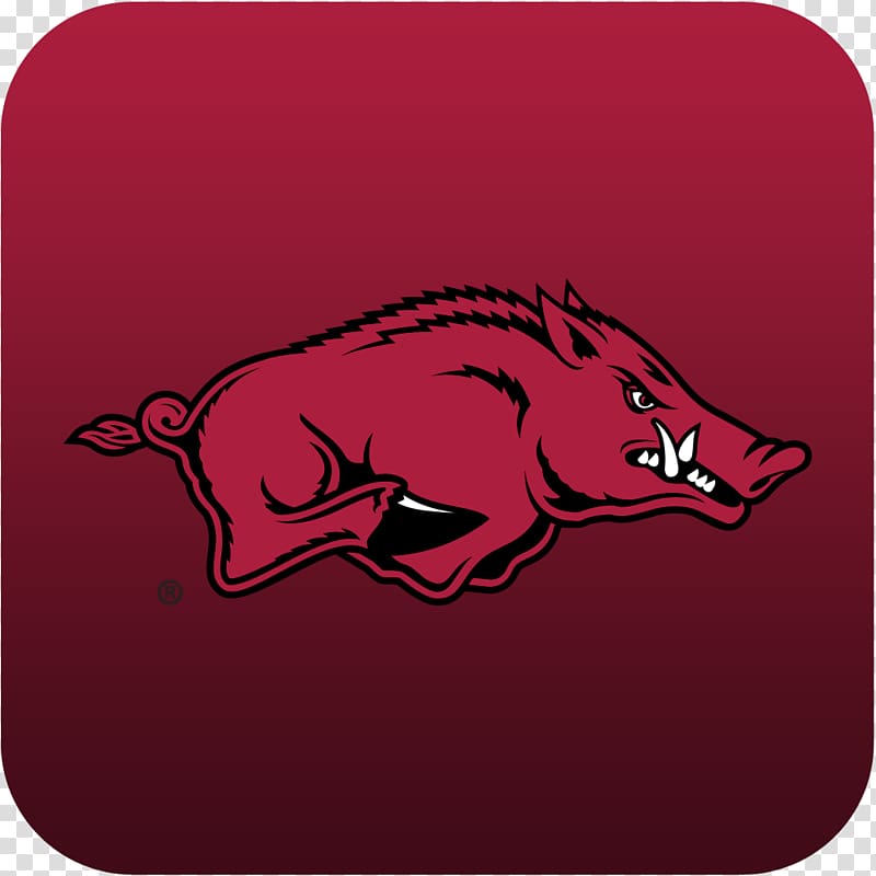 Arkansas Razorbacks football Bud Walton Arena Feral pig Southeastern Conference College Football Hall of Fame, american football transparent background PNG clipart