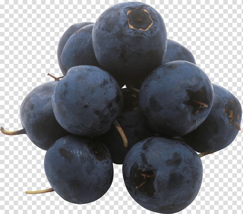 European blueberry Bilberry Grape Huckleberry, blueberry transparent background PNG clipart