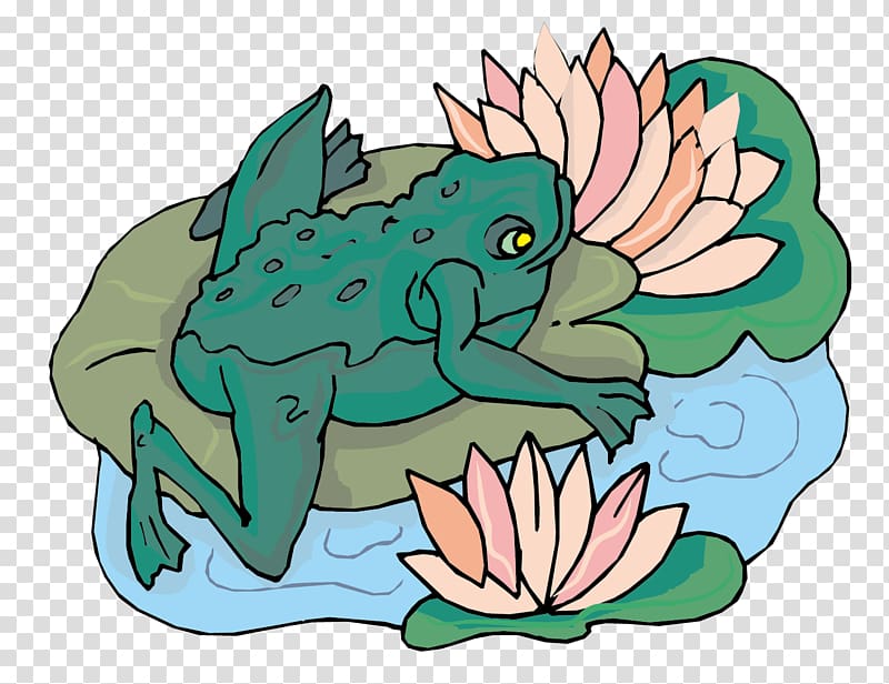 Frog Cartoon , Frog Lotus transparent background PNG clipart
