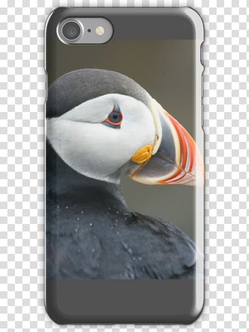 iPhone 4S iPhone 7 iPhone 5s iPhone X, Puffin transparent background PNG clipart