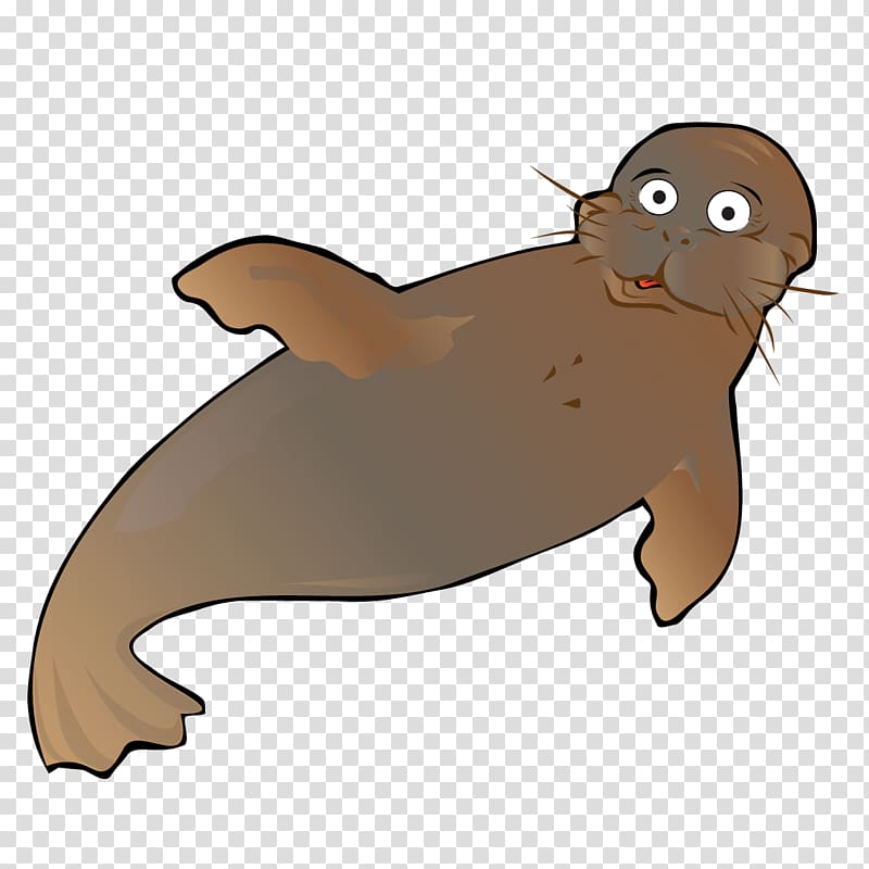 Sea lion Walrus SwimWest Swim School Swimming lessons, nature sea animals seals transparent background PNG clipart