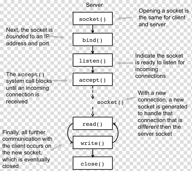 Network socket Unix domain socket Computer Servers File descriptor Transmission Control Protocol, others transparent background PNG clipart