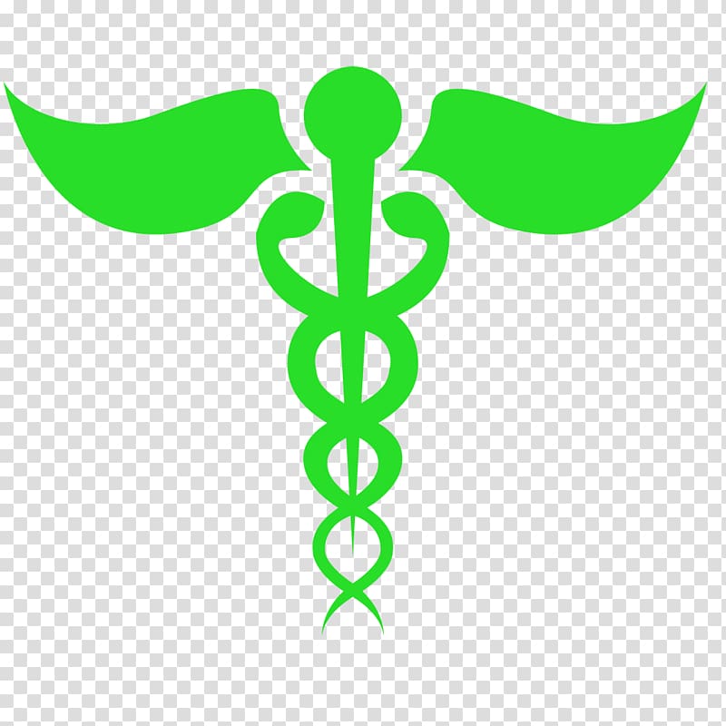 Fortis Malar Hospital Dr Vivek AN Orthopedic Surgeon Leaf Surgery Arthroscopy, others transparent background PNG clipart