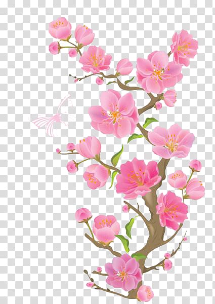 Cherry blossom , Pink Peach transparent background PNG clipart