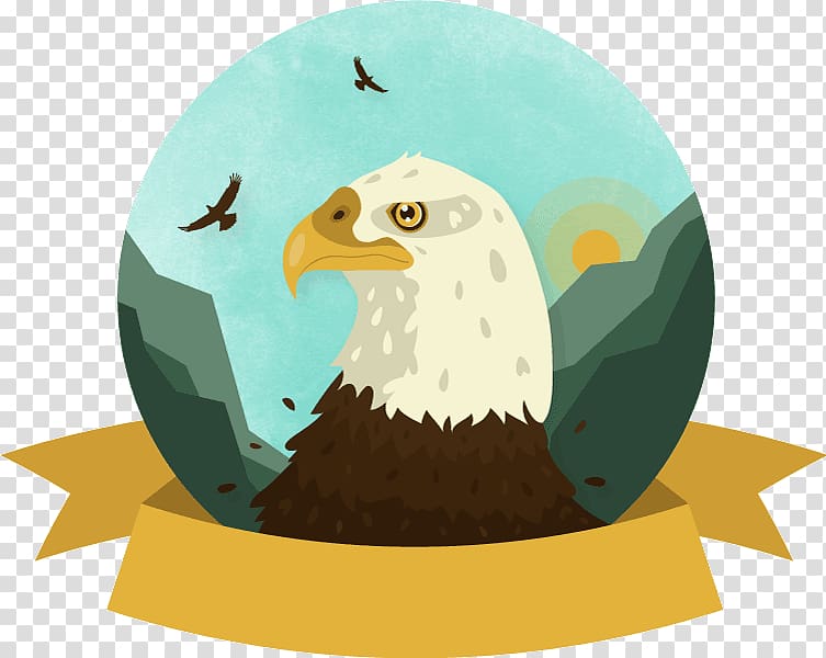 Bald Eagle White-tailed Eagle Bird, eagle transparent background PNG clipart