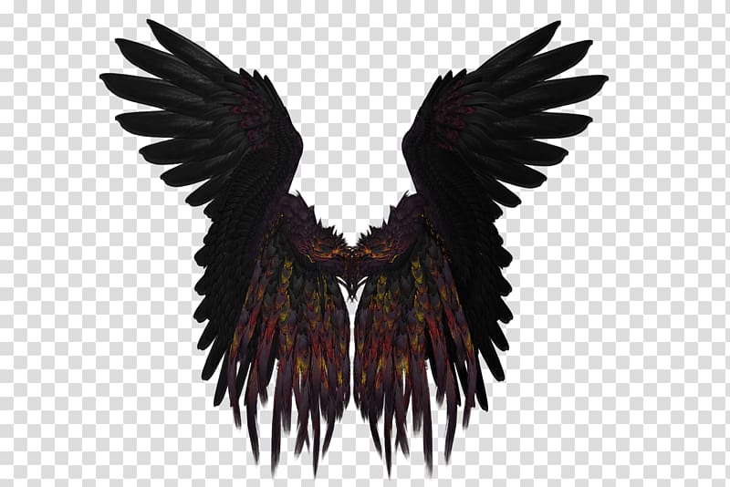 black-and-multicolored wings , Short Black and Purple Wings transparent background PNG clipart