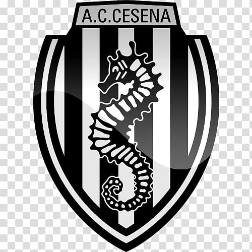 A.C. Cesena under-19 Serie A Hellas Verona F.C., Ac Formations Consulting transparent background PNG clipart