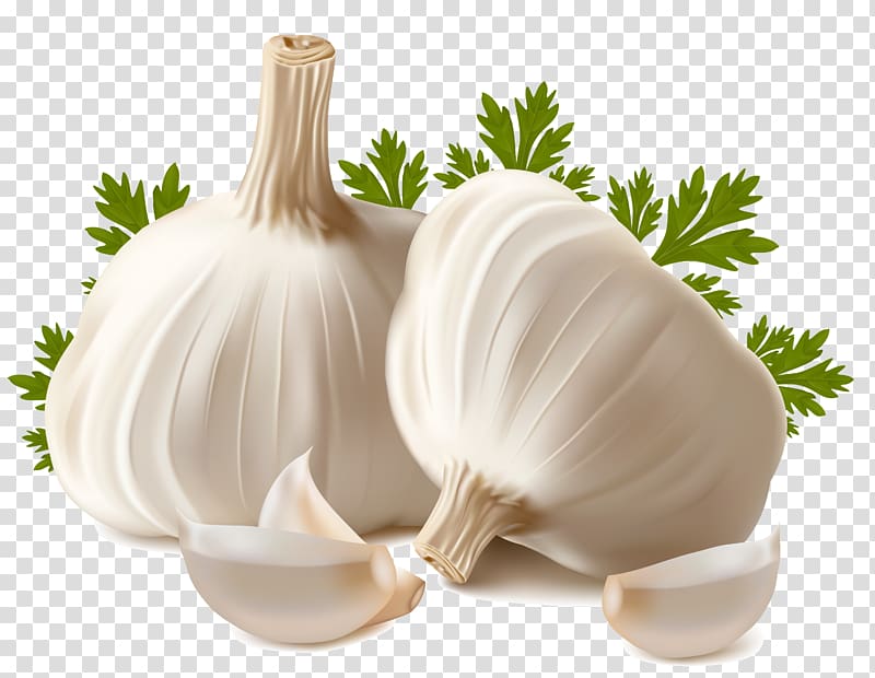 Garlic bread Vegetable , Garlic transparent background PNG clipart